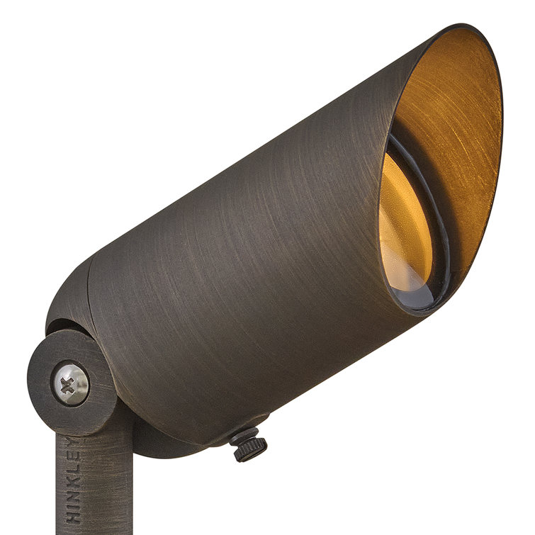 Matte Bronze LED Outdoor Spotlight with Clear Lens