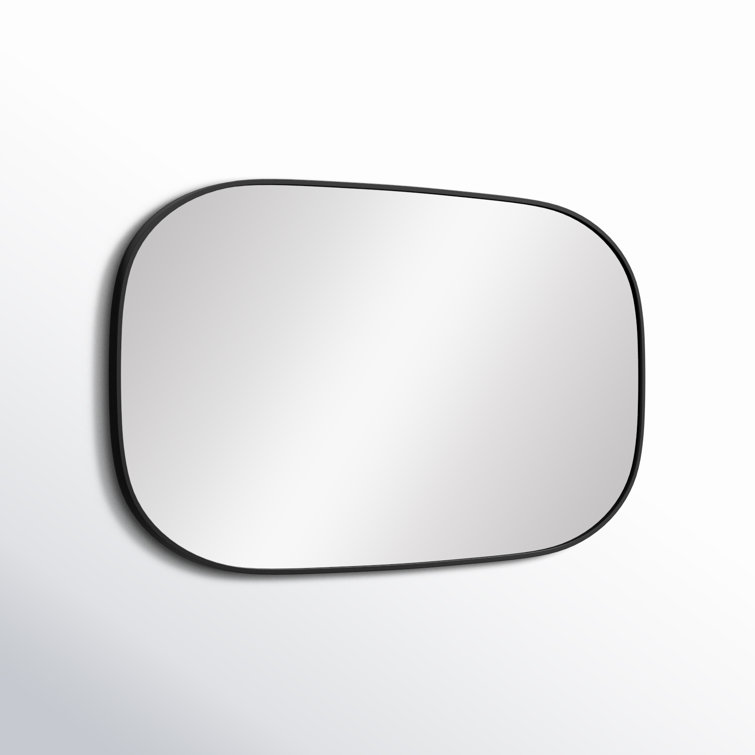 Black Metal Frame Oval Wall Mirror 24 x 40 Inch