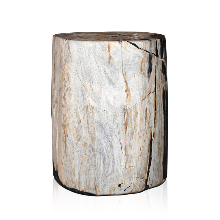 Light Petrified Wood Round End Table