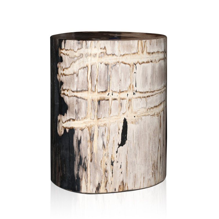 Light Petrified Wood Round End Table