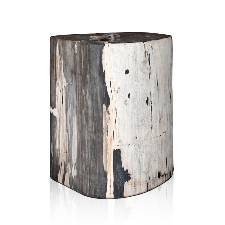 Light Petrified Wood Round End Table