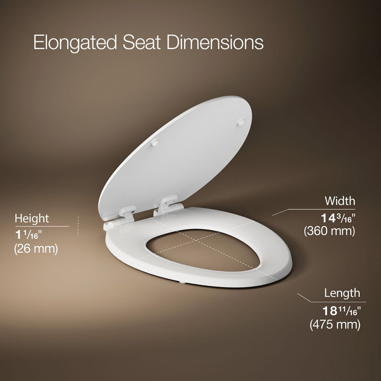 White Elongated Quiet-Close Toilet Seat with Plastic Hinges