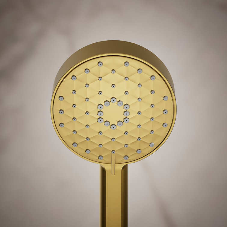 Vibrant Brushed Moderne Brass Wall Mounted Handheld Shower