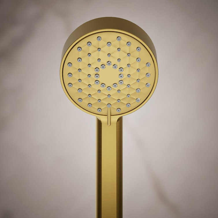 Vibrant Brushed Moderne Brass Wall Mounted Handheld Shower