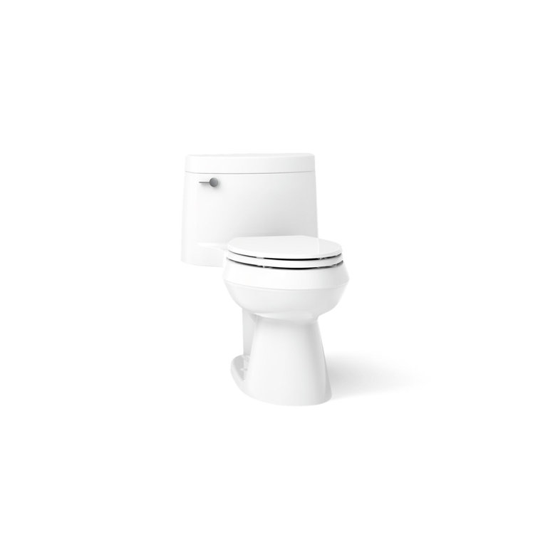 White High Efficiency Elongated One-Piece Toilet with Seat