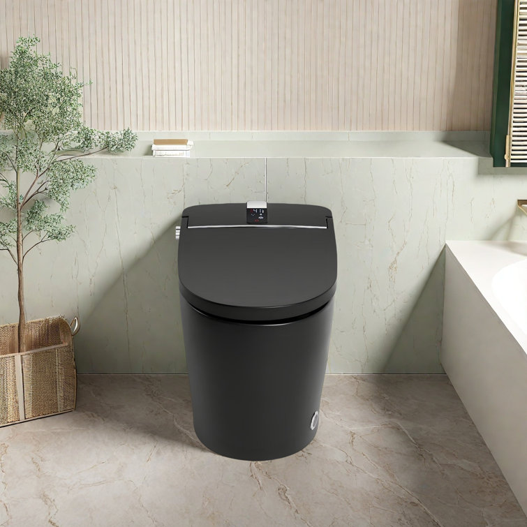 Matte Black Elongated One-Piece Smart Bidet Toilet with Dual Flush
