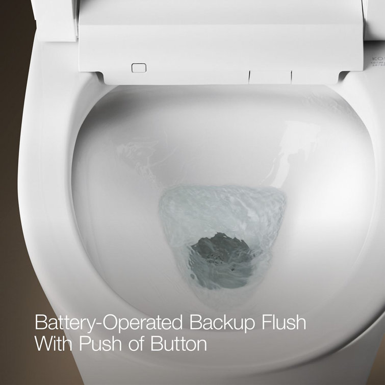 White and Moderne Brushed Brass High Efficiency Dual Flush Elongated Toilet