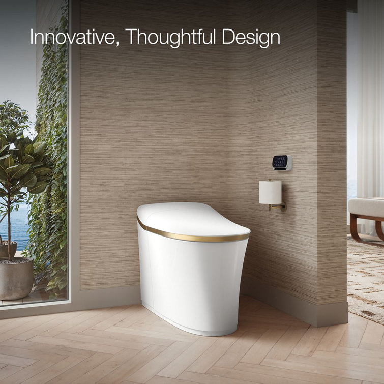 White and Moderne Brushed Brass High Efficiency Dual Flush Elongated Toilet