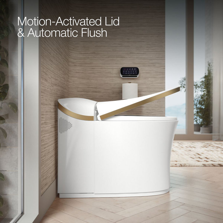 White and Moderne Brushed Brass High Efficiency Dual Flush Elongated Toilet