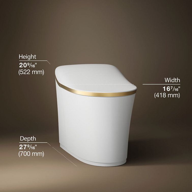 White and Moderne Brushed Brass High Efficiency Dual Flush Elongated Toilet