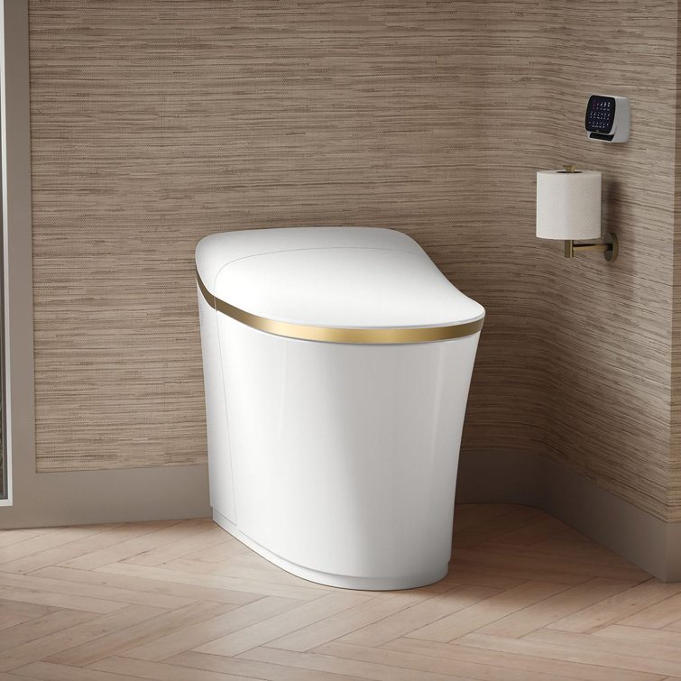 White and Moderne Brushed Brass High Efficiency Dual Flush Elongated Toilet
