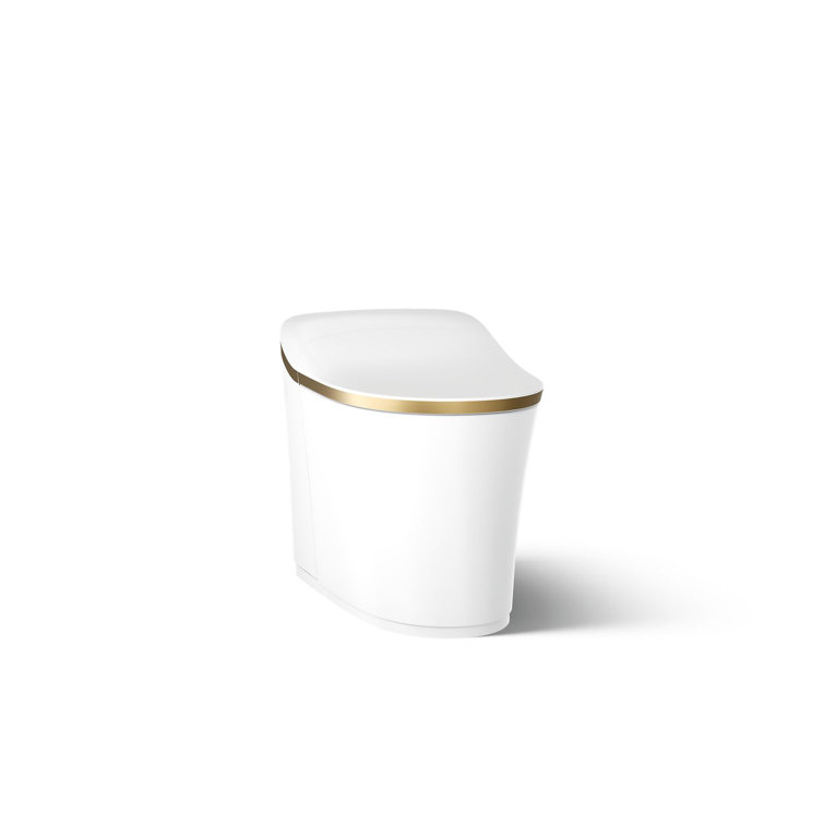 White and Moderne Brushed Brass High Efficiency Dual Flush Elongated Toilet