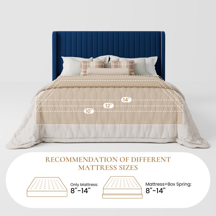 Elegant Navy Blue Velvet Queen Bed with Tufted Wingback Headboard