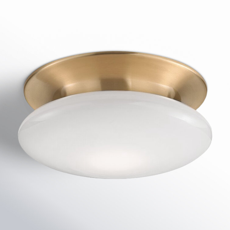 Satin Brass Irvington Globe 1-Light LED Flush Mount