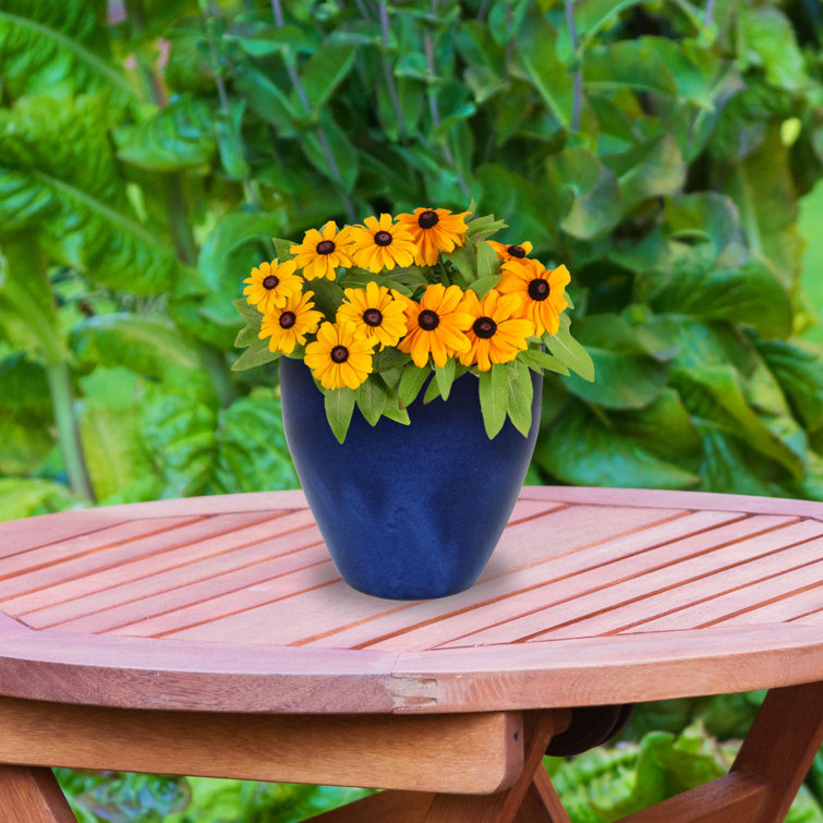 Imperial Blue Medium Ceramic Indoor/Outdoor Planter Set with Drainage Holes