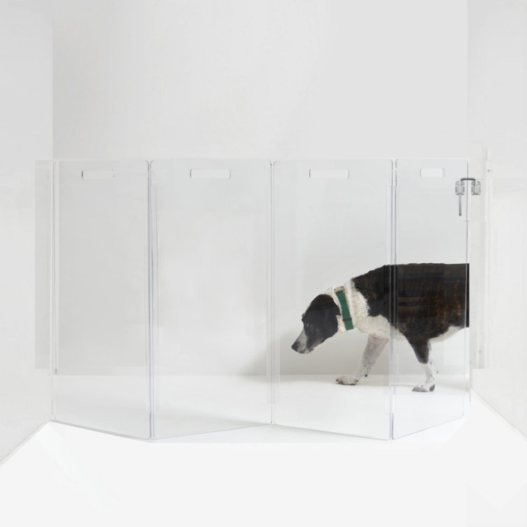Clear Acrylic Zig Zag Wall Mounted Pet Gate with Metal Latch