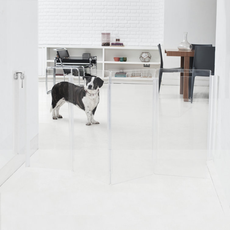 Clear Acrylic Zig Zag Wall Mounted Pet Gate with Metal Latch