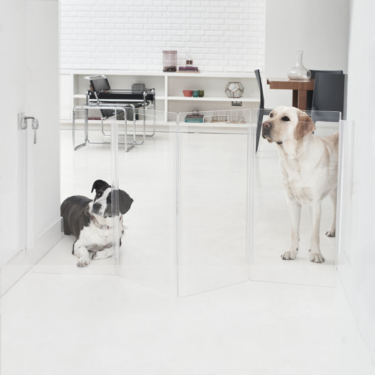 Clear Acrylic Zig Zag Wall Mounted Pet Gate with Metal Latch