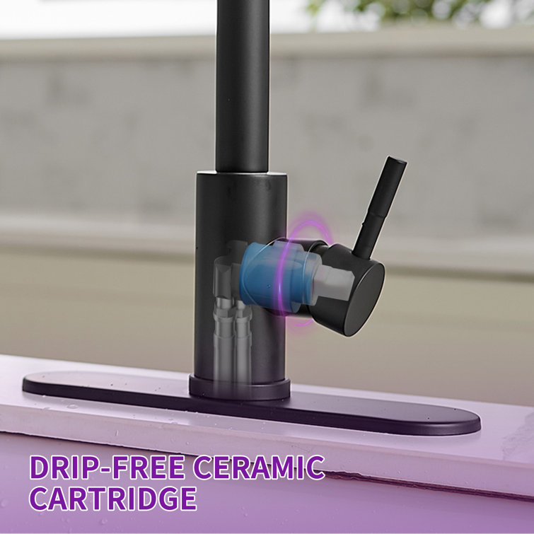 Matte Black Stainless Steel Pull-Out Spray Kitchen Faucet