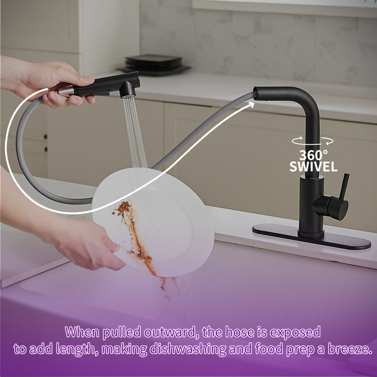Matte Black Stainless Steel Pull-Out Spray Kitchen Faucet
