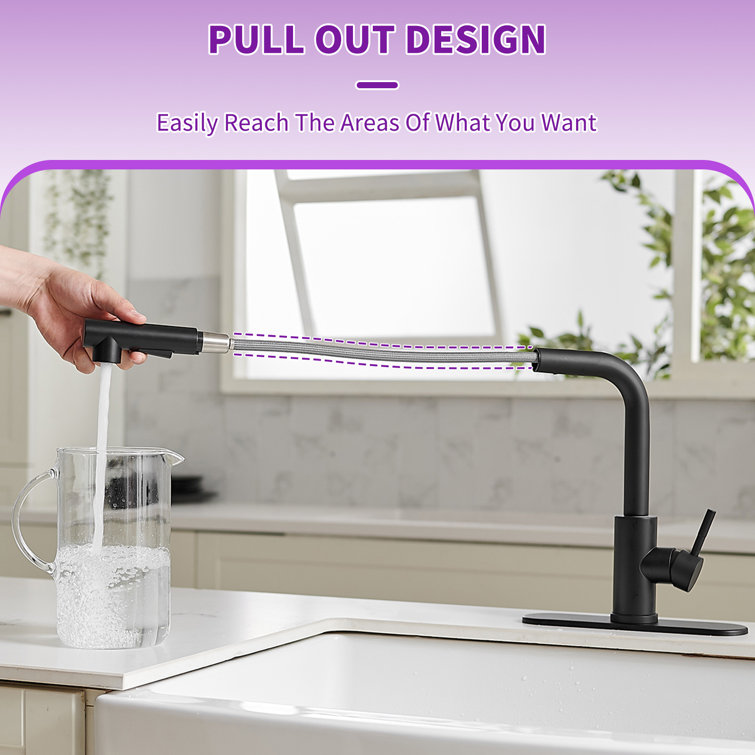 Matte Black Stainless Steel Pull-Out Spray Kitchen Faucet