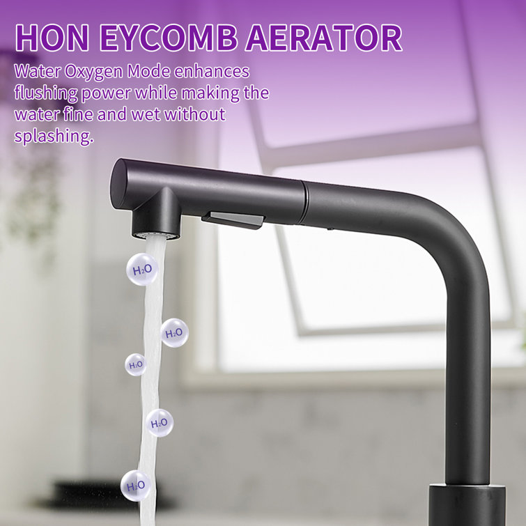 Matte Black Stainless Steel Pull-Out Spray Kitchen Faucet