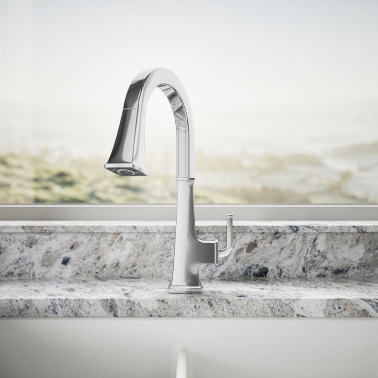 Oil Rubbed Bronze Pull-Down Kitchen Faucet with Spray