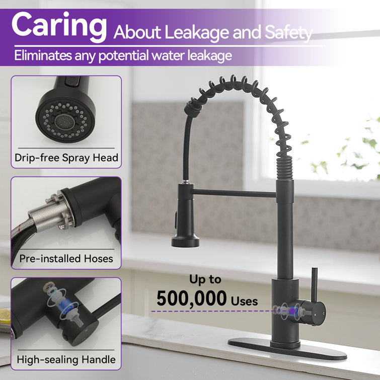Matte Black Single-Handle Pull-Down Sprayer Kitchen Faucet