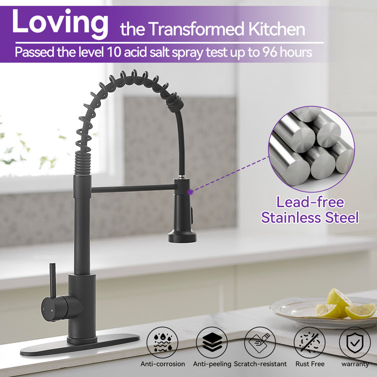 Matte Black Single-Handle Pull-Down Sprayer Kitchen Faucet