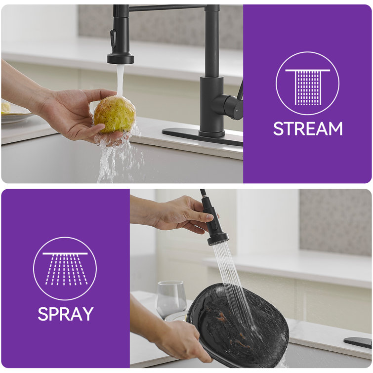 Matte Black Single-Handle Pull-Down Sprayer Kitchen Faucet