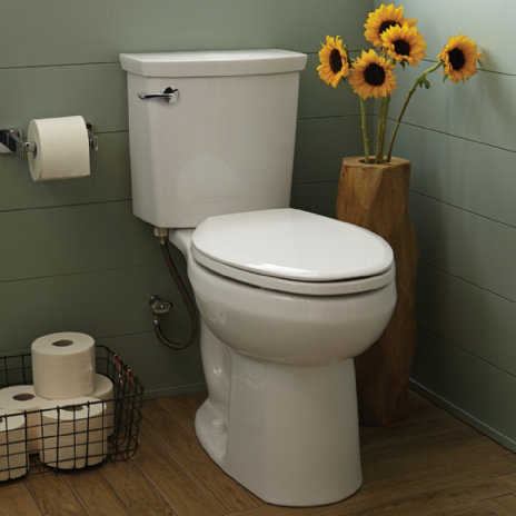 White Vitreous China High Efficiency Dual Flush Elongated Toilet