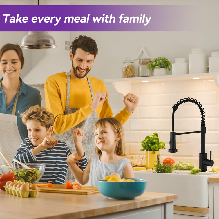 Matte Black Single-Handle Pull-Down Sprayer Kitchen Faucet
