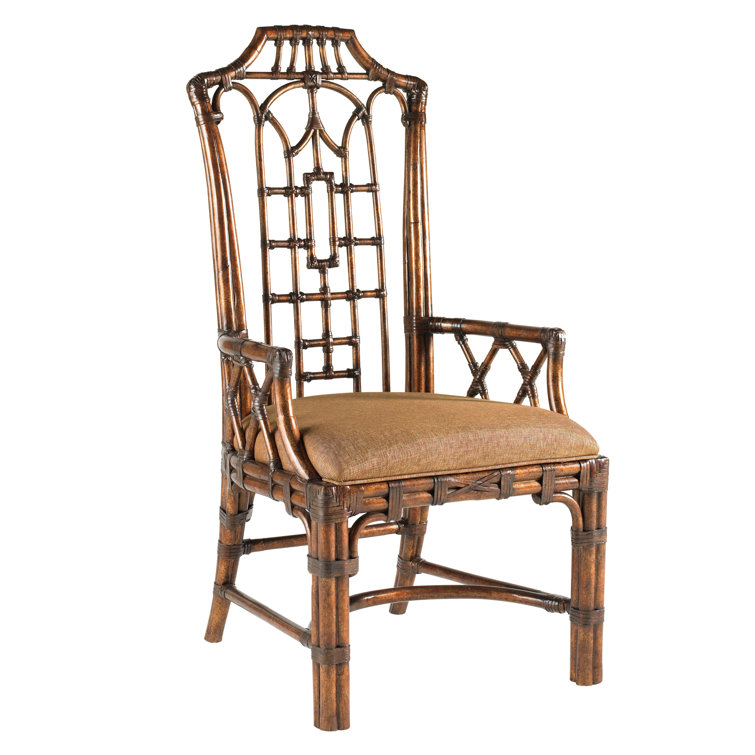 Brown Rattan and Leather Upholstered Arm Chair