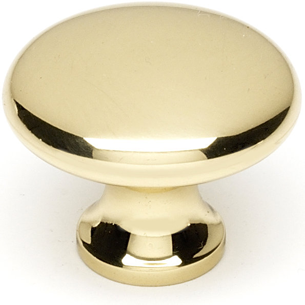 Polished Brass Rectangular Cabinet Knob with Mounting Hardware
