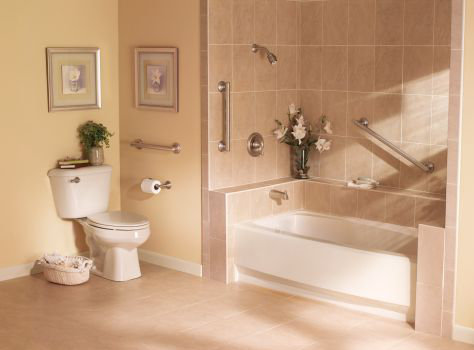 Brushed Nickel 19-inch Stainless Steel Wall Mount Grab Bar