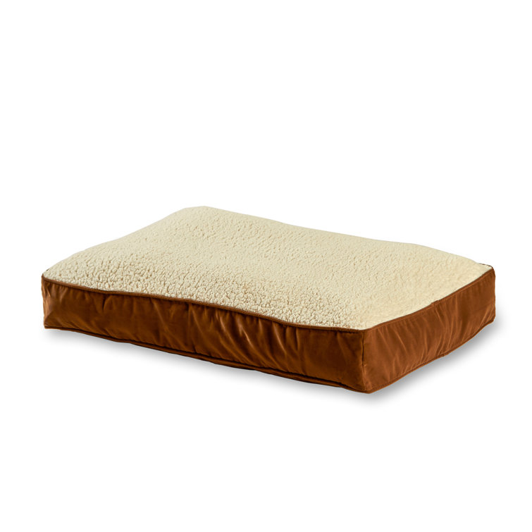 Extra Small Latte Sherpa Chew Resistant Dog Bed