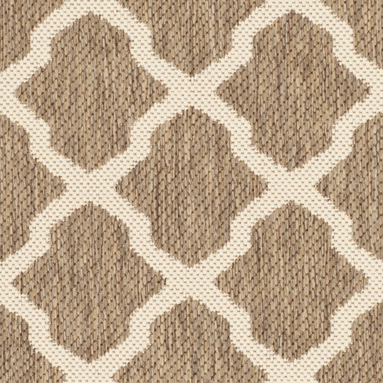 Brown and Bone Rectangular Indoor/Outdoor Area Rug