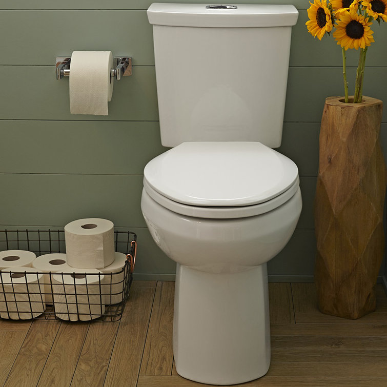White Vitreous China Dual Flush Round Two-Piece Toilet