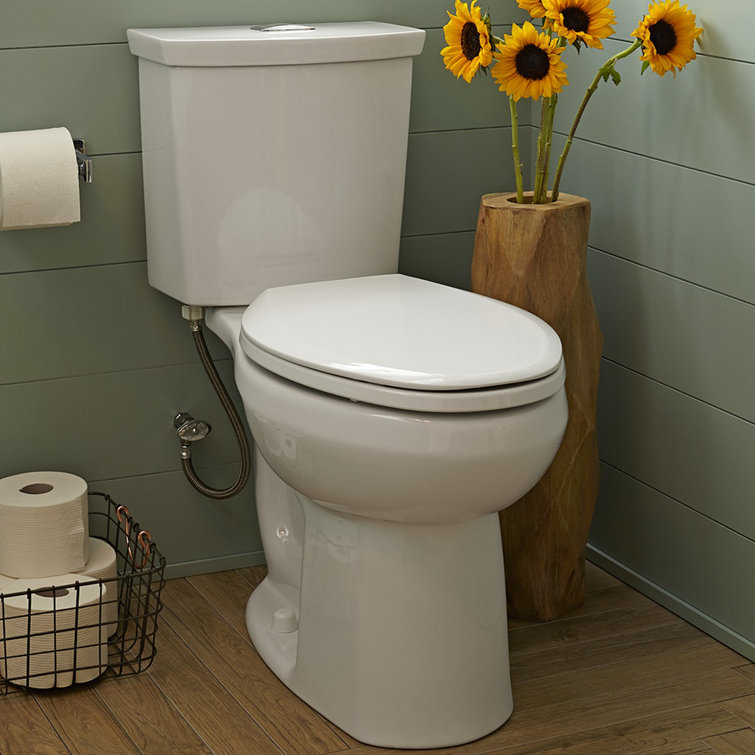 White Vitreous China Dual Flush Round Two-Piece Toilet