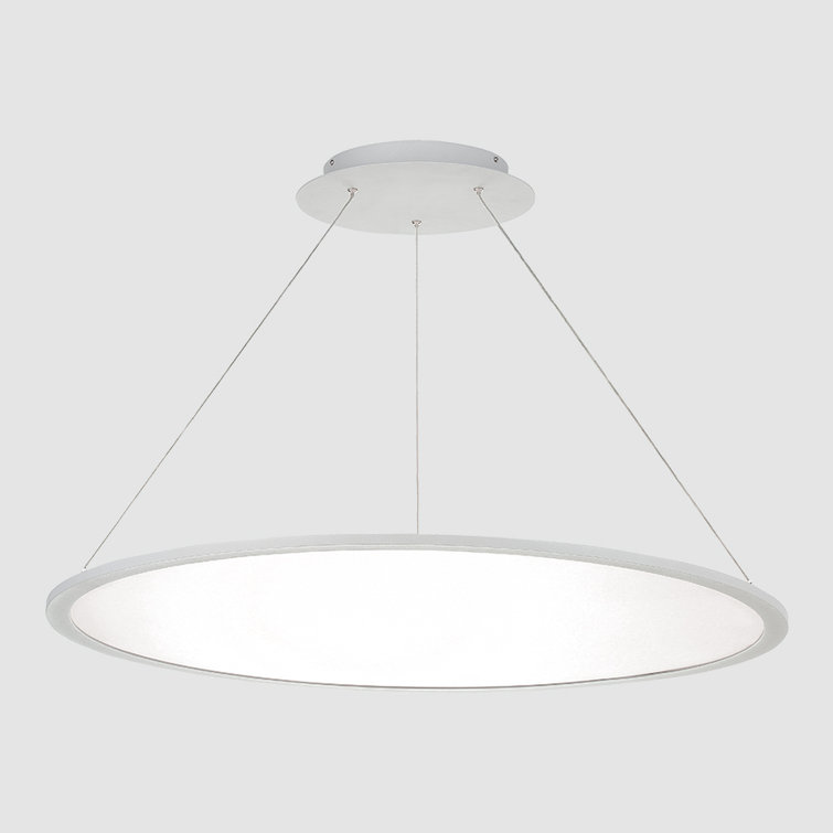 Titanium Glass LED Indoor/Outdoor Pendant Light
