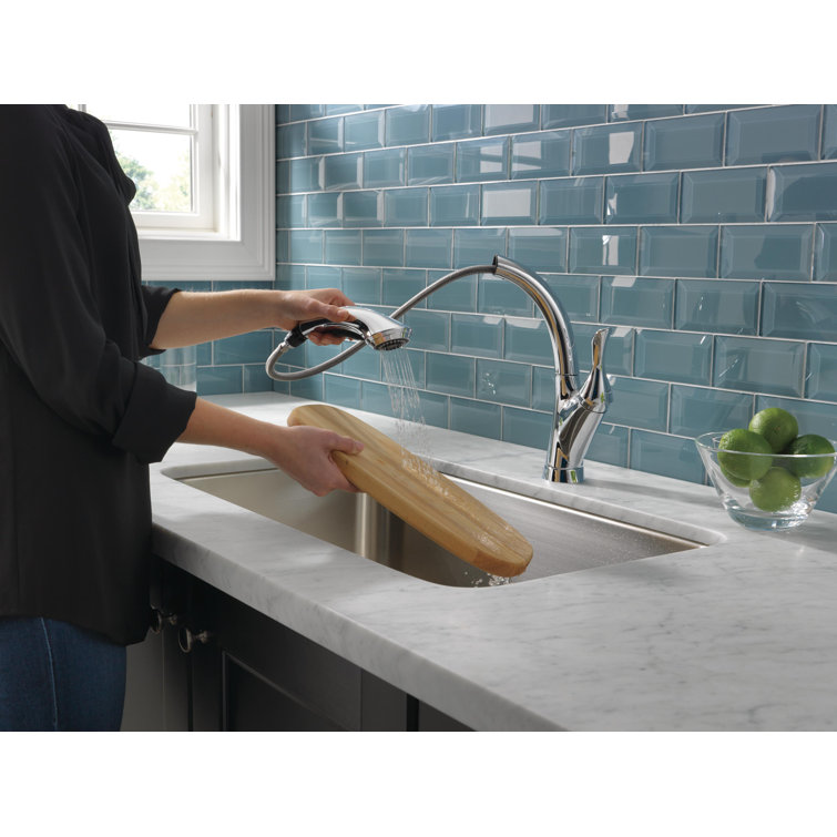 Linden Chrome Pull-Out Spray Single Handle Kitchen Faucet