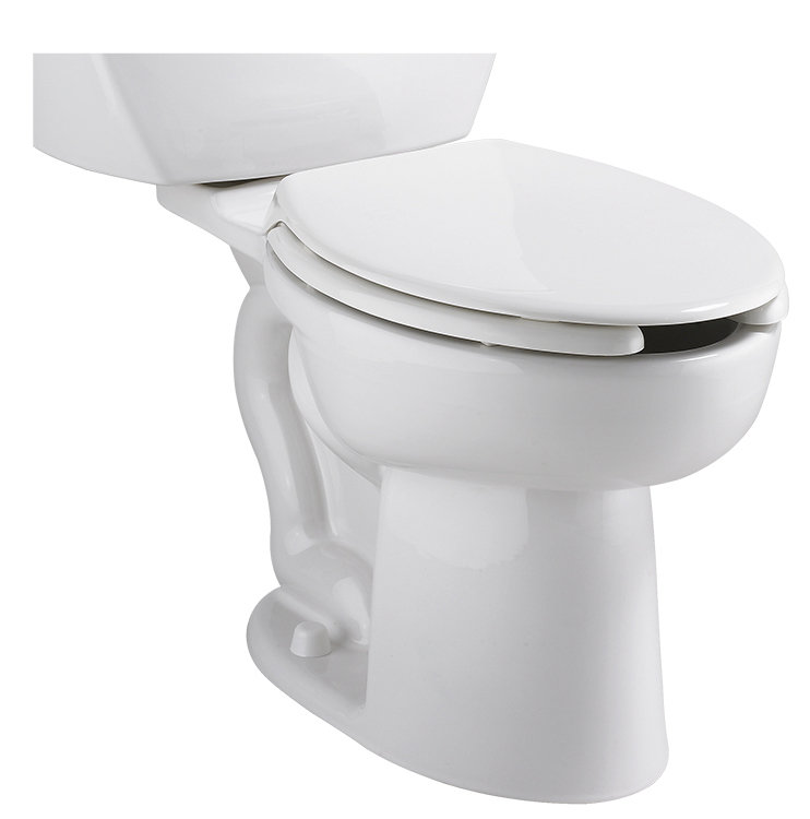 Cadet Pro White Vitreous China Elongated Toilet Bowl