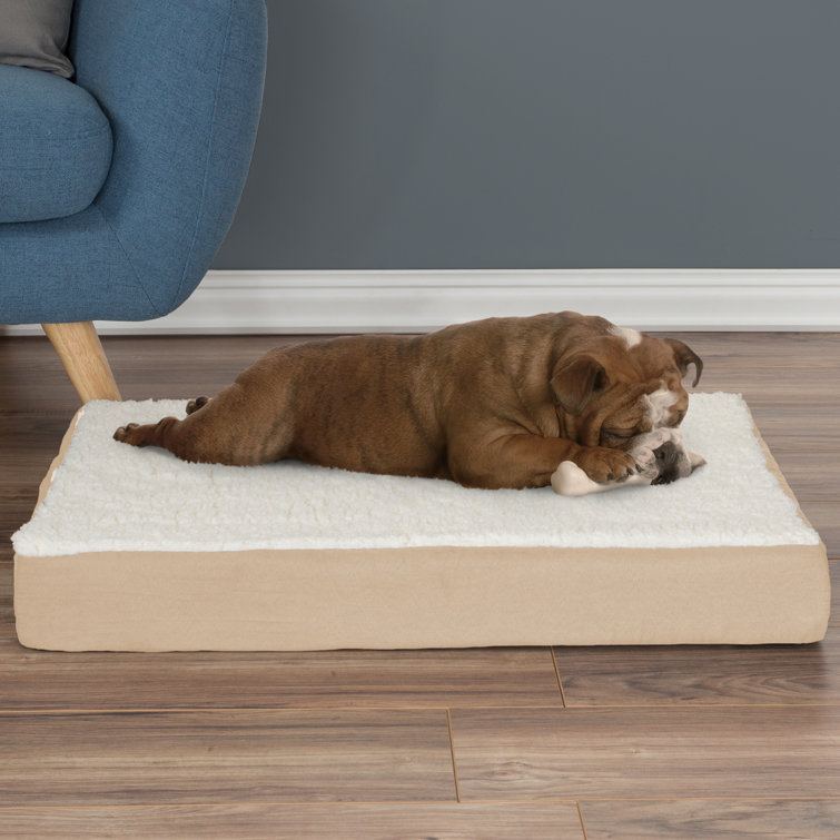 Tan Medium Memory Foam Orthopedic Pet Bed with Sherpa Top