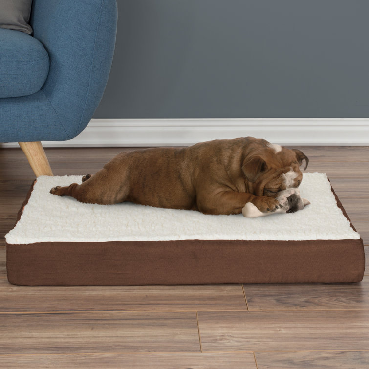 Medium Brown Orthopedic Memory Foam Pet Bed