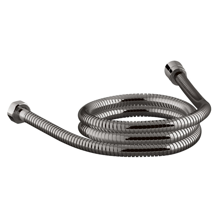 Vibrant Titanium 60-Inch Metal Shower Hose