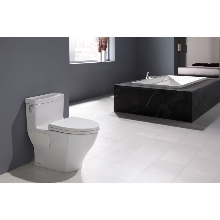 Bone Vitreous China Elongated One-Piece Toilet with Washlet Combo