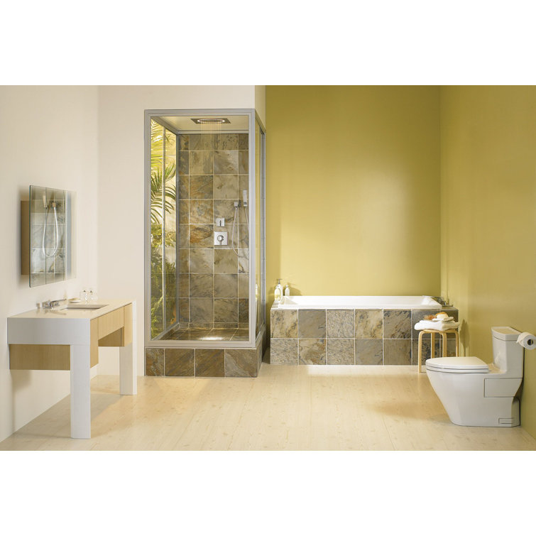 Bone Vitreous China Elongated One-Piece Toilet with Washlet Combo