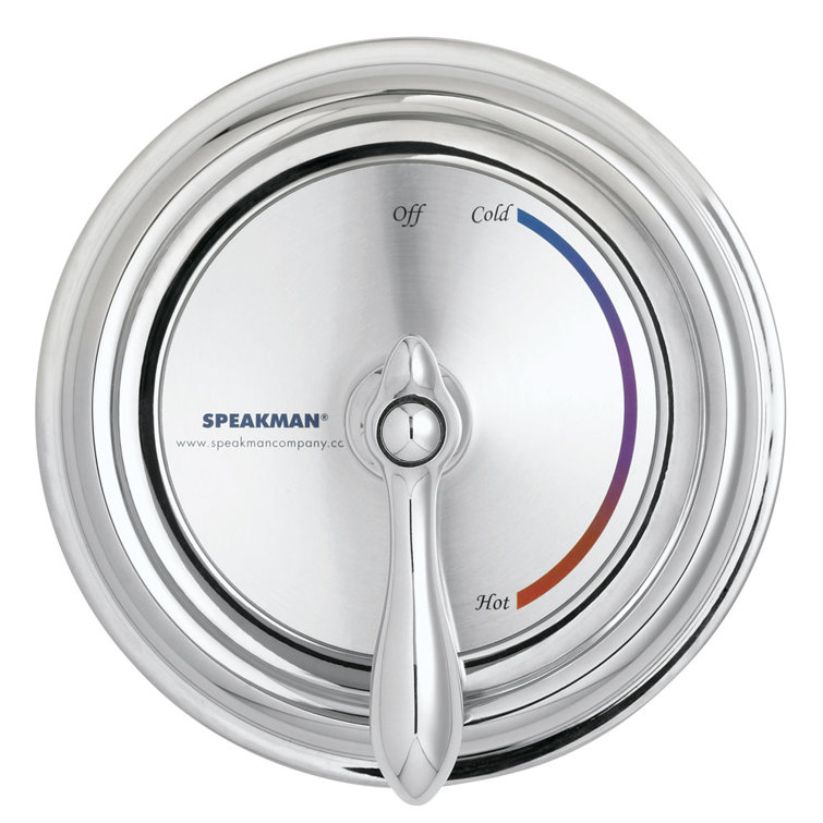 Sentinel Mark II Polished Anti-Scald Pressure Balance Shower Valve with Lever