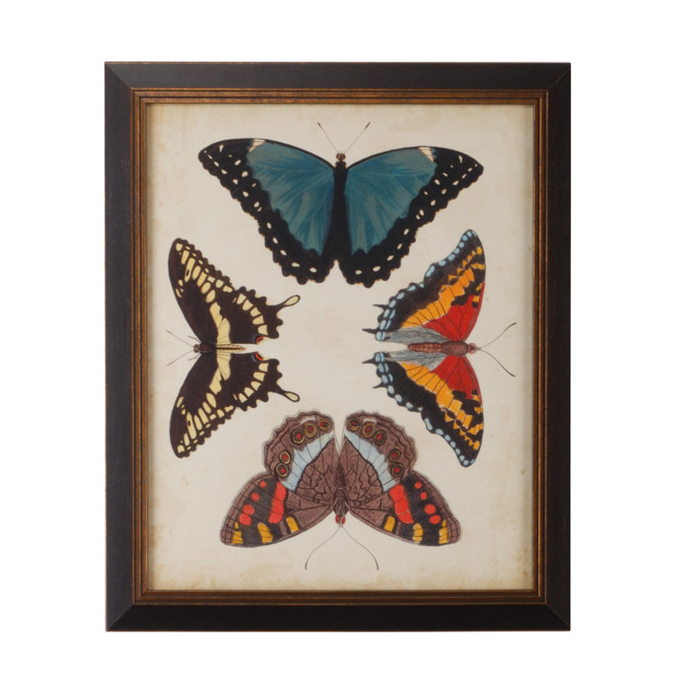 Black Framed Butterfly Graphic Art Print