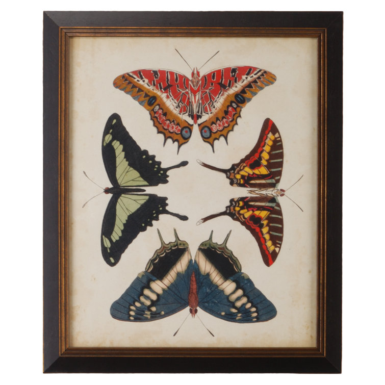 Black Framed Butterfly Graphic Art Print